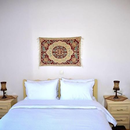 Eufrosini Guesthouse Metsovo Esterno foto