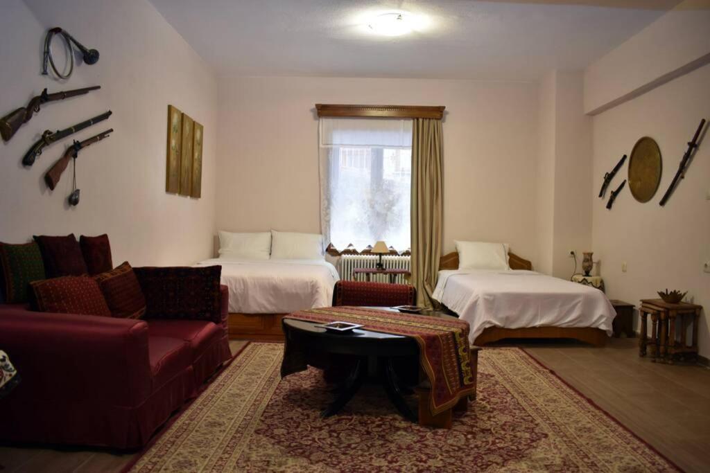 Eufrosini Guesthouse Metsovo Esterno foto