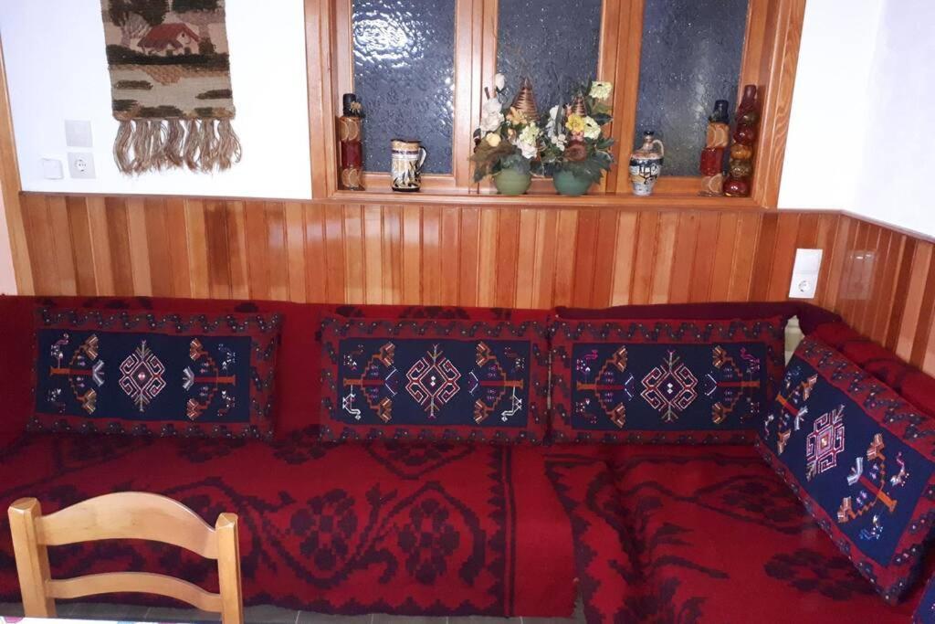 Eufrosini Guesthouse Metsovo Esterno foto